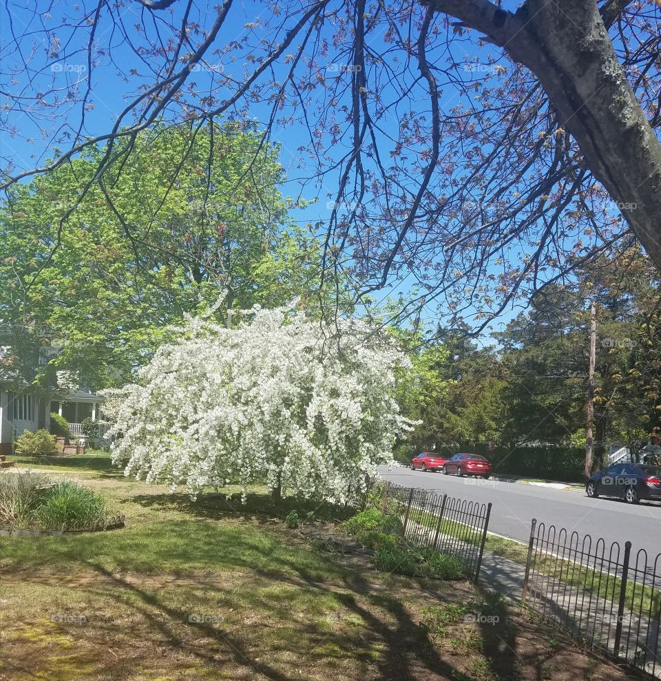 I like walking to work.