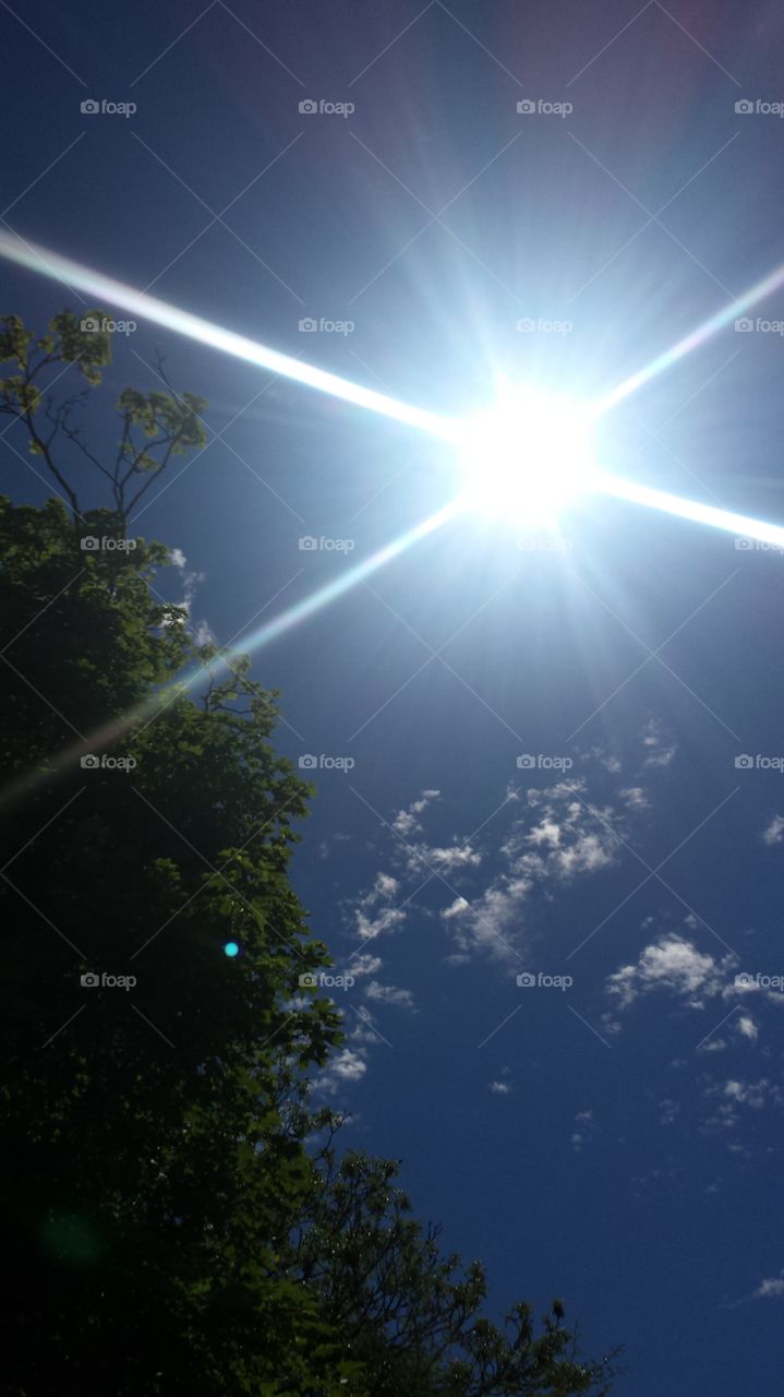 Illuminating sun rays at midday