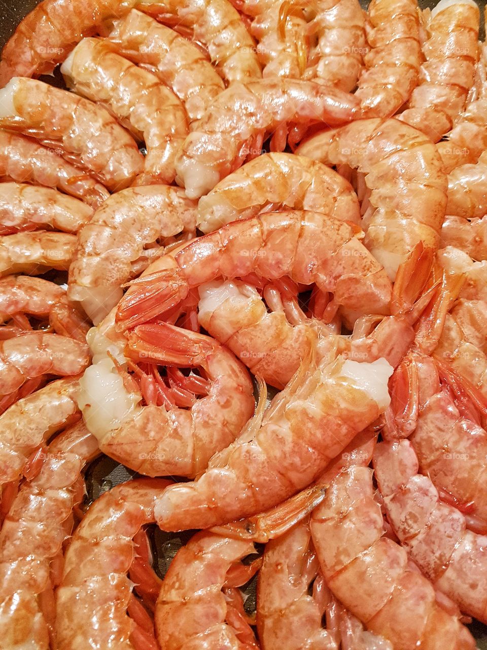 shrimp galore