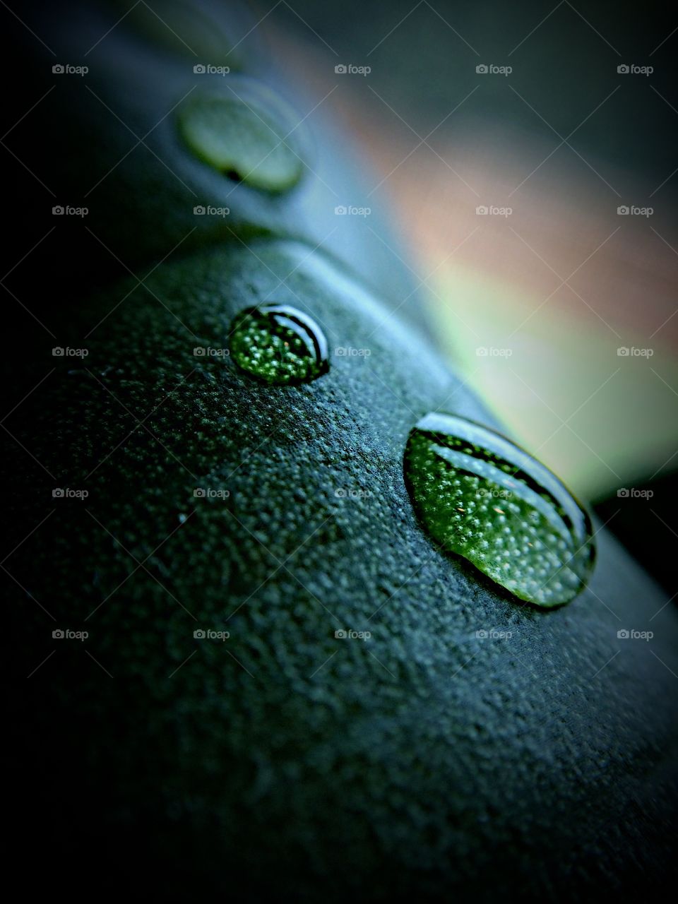 Water droplets close up 