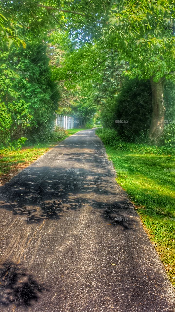 Bike Path