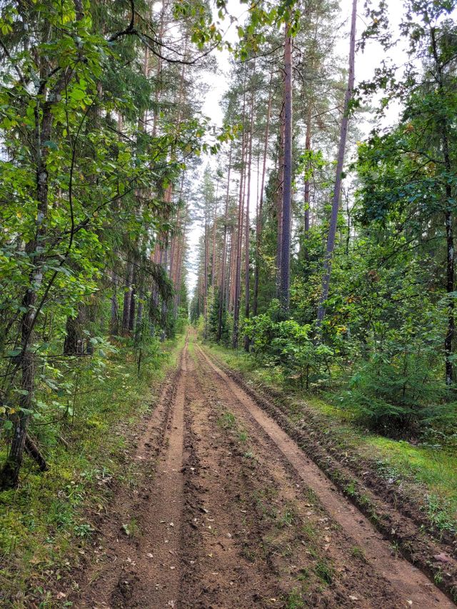 nature