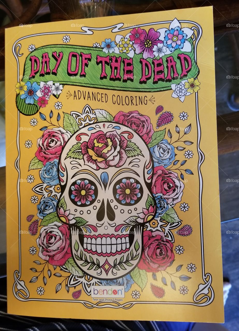 day of the dead adult coloring book