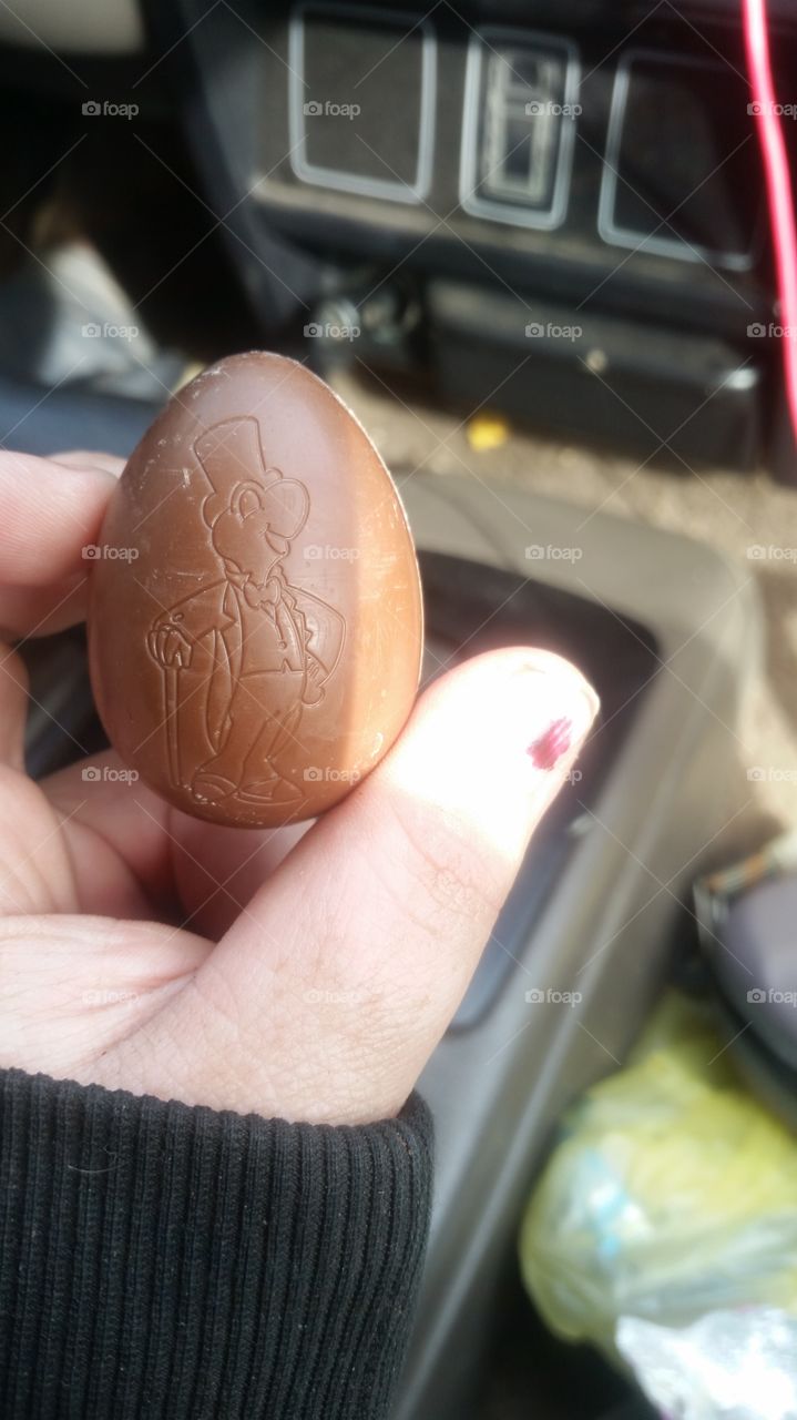 chocolate turtle  egg