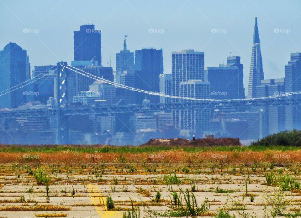 San Francisco Skyline. San Francisco As Viewed From Alameda In The East Bay
