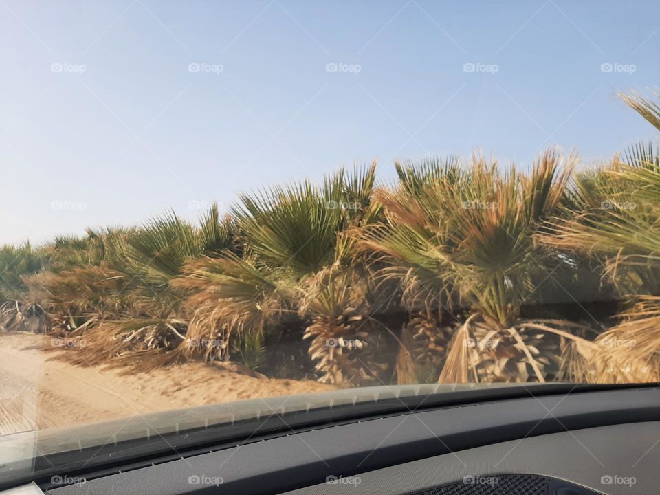 Please make me happy, I am poor, I need your help with support