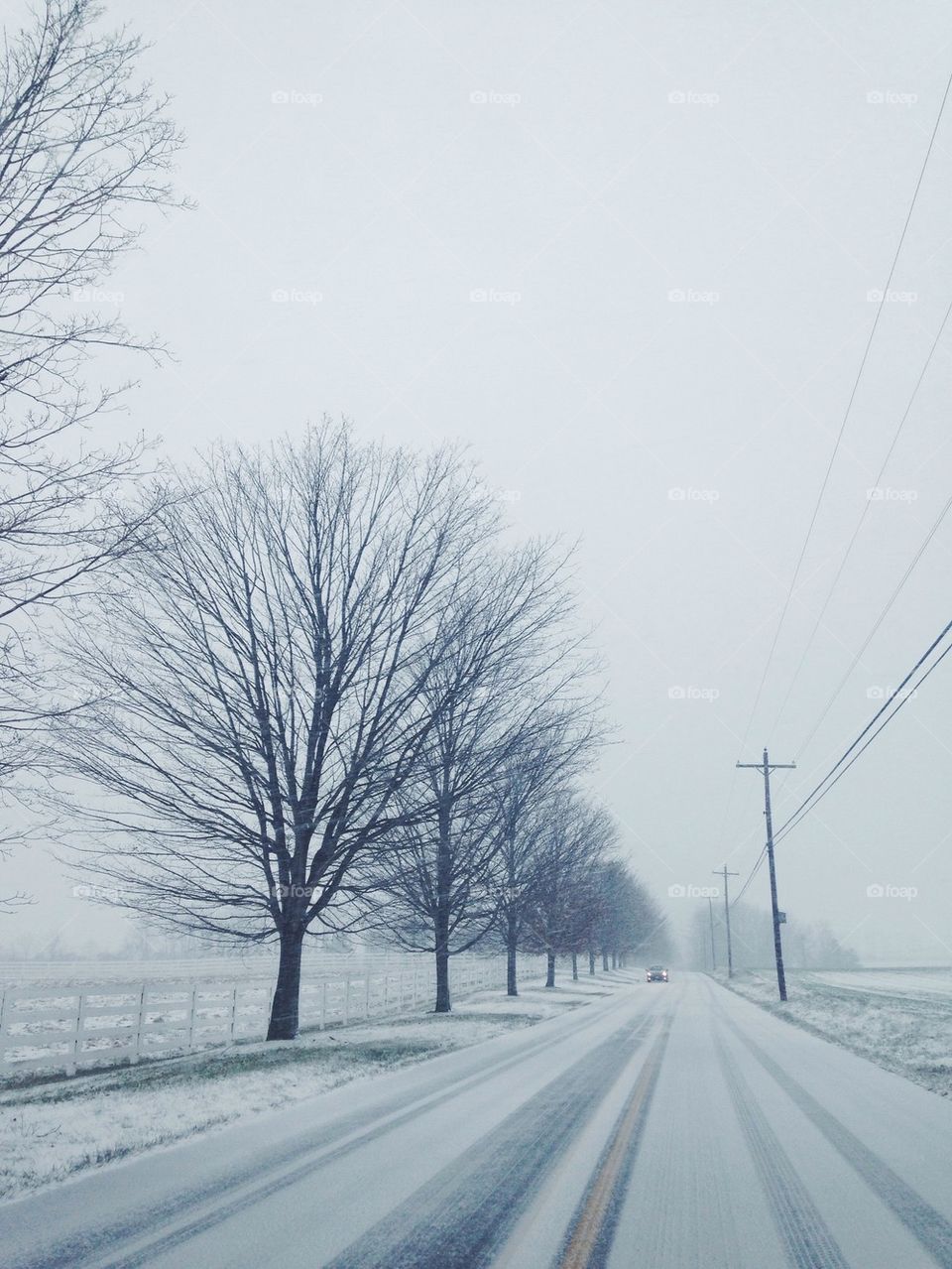 Snowy Drive