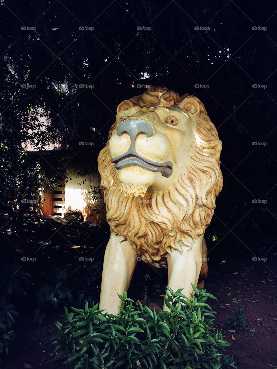 Tiger, Art and craft, Tree, House, bike, Leafs, Tree, Lions,