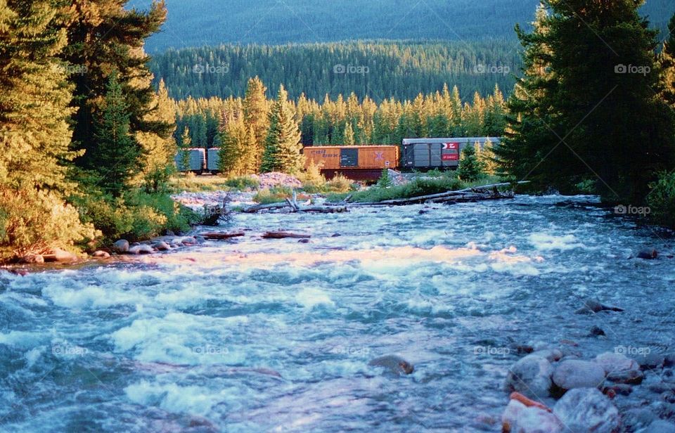 Train crossing River in Forest. Alberta, Canada