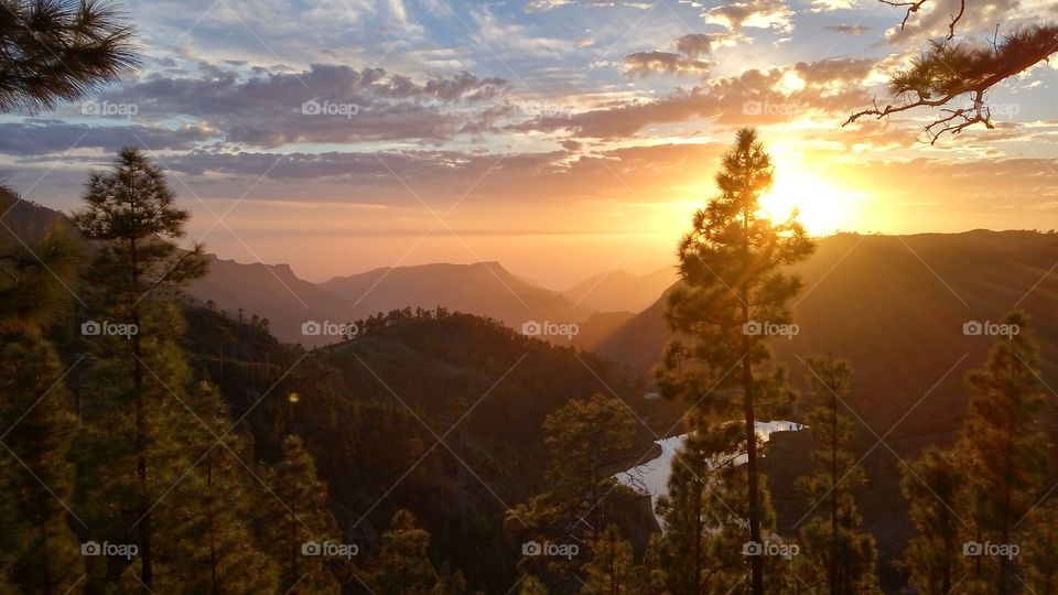 Sunset, No Person, Dawn, Tree, Fall