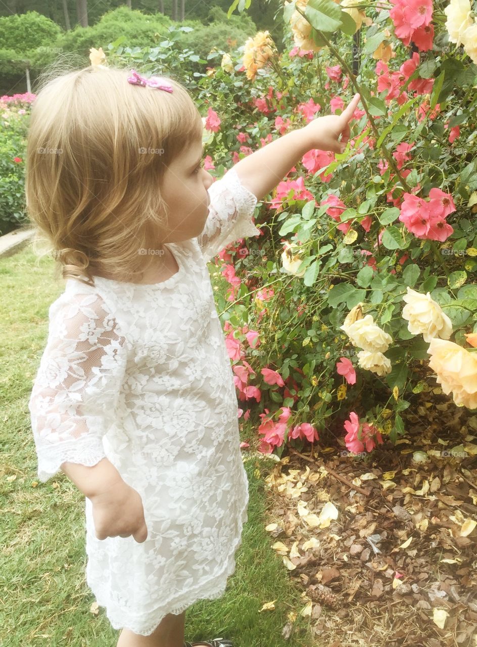 Toddler in white lace exploring flowers