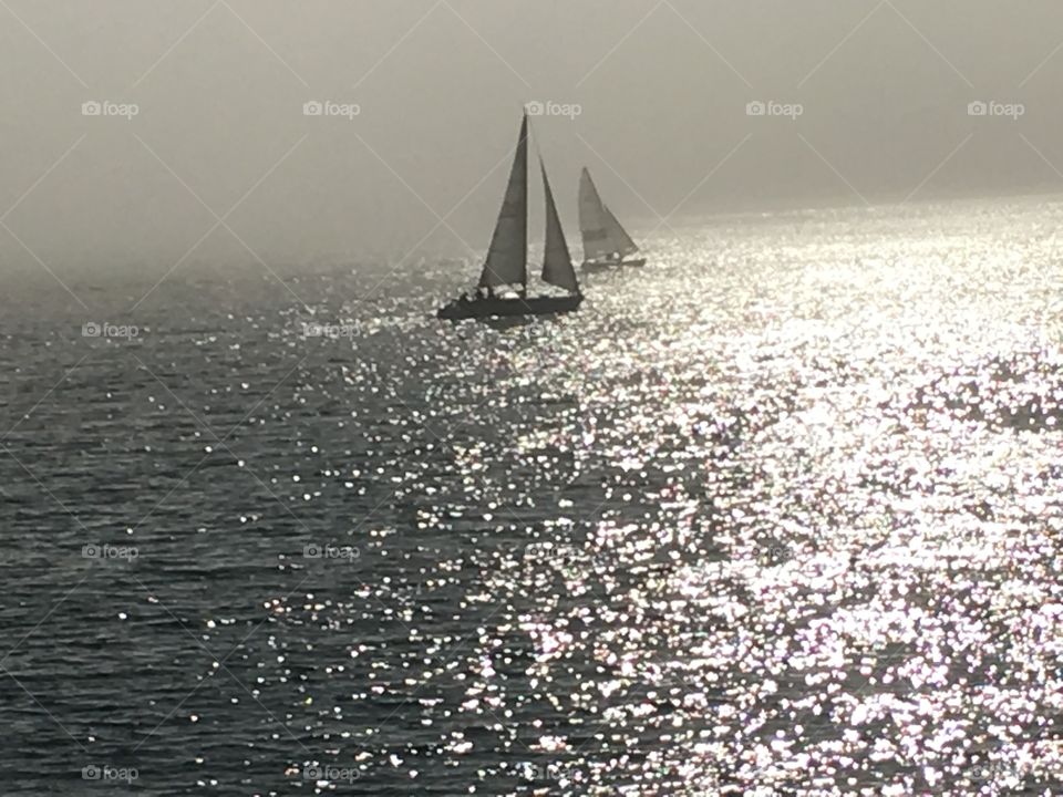 Sailboats sailing in Monterey California with water reflecting sunlight 