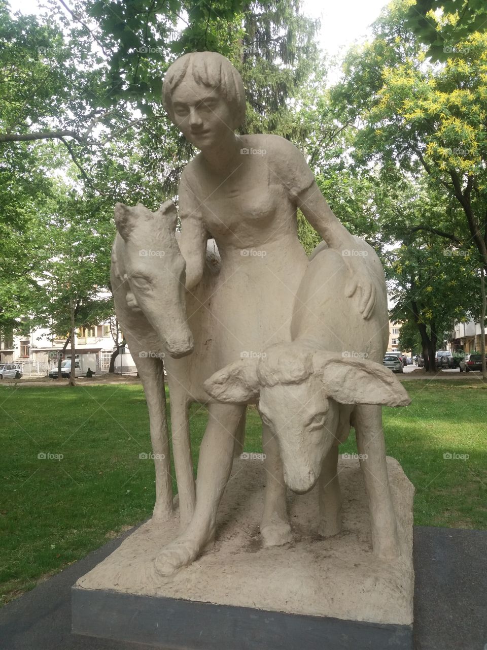 The girl with the animals