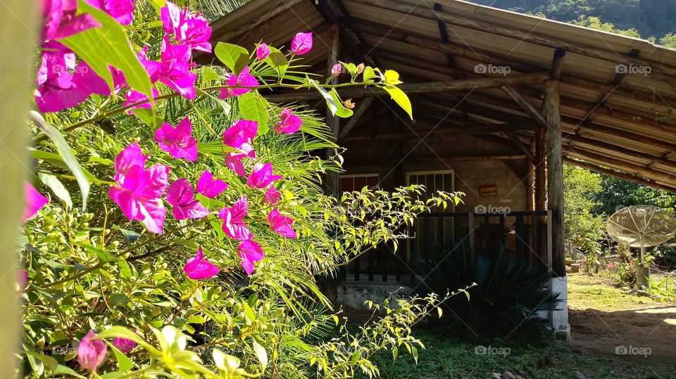 Tha BRIGHTNESS AN SUN A ’GABHAIL A’ GABHAIL A ’GABHAIL A’ GABHAIL A ’GABHAIL A-STEACH ANN AN DÙTHCHAS.