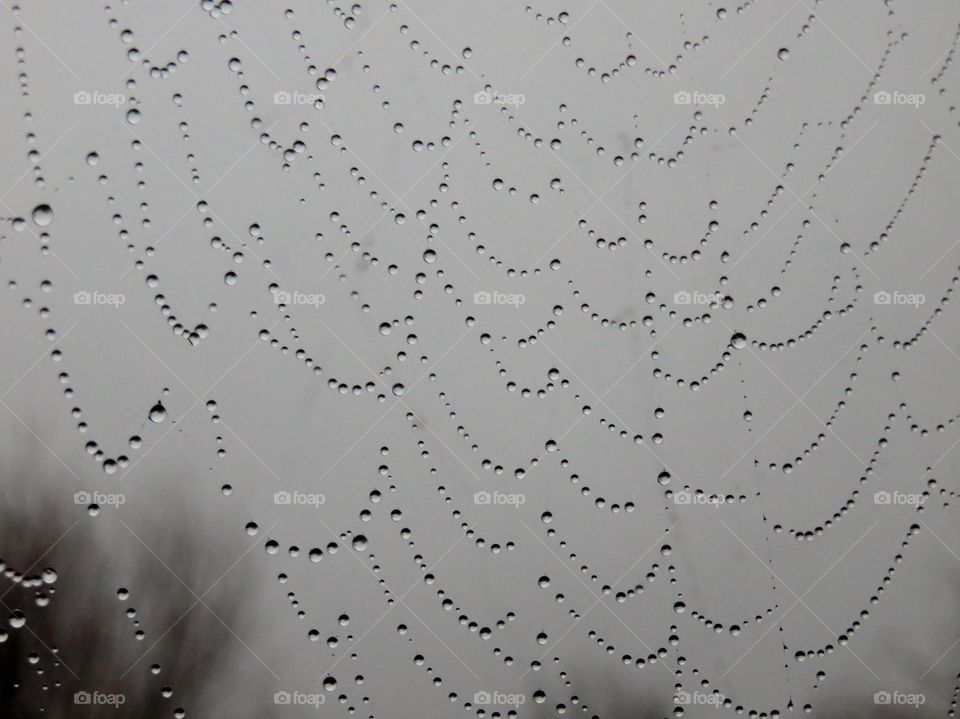 cobweb in the rain . Taken through my window tonight. Took a series of pics and can't choose.  This is number one.