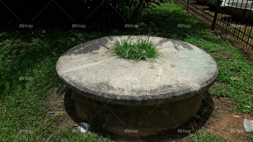 No Person, Garden, Grass, Park, Wood