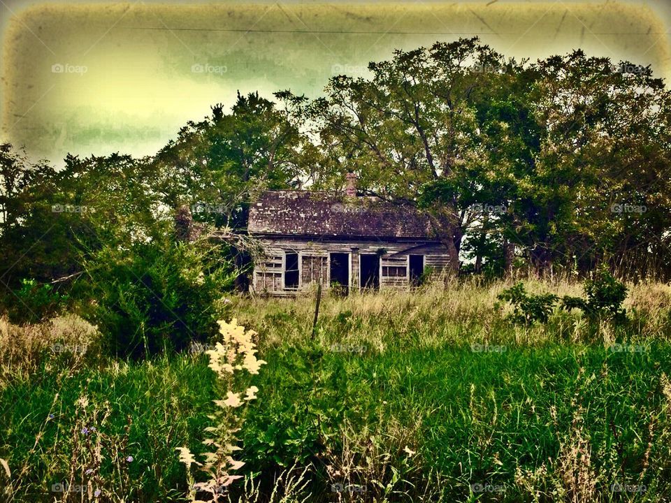 Old House 