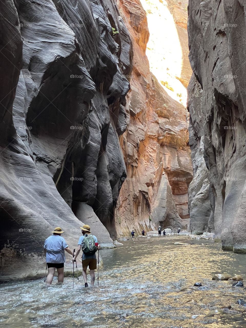 Zion national park 