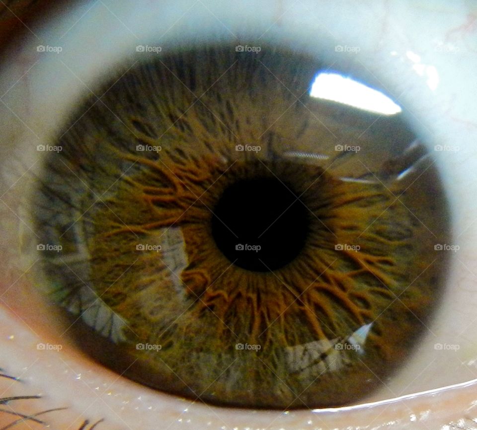 very close-up of human eye with details of light brown iris