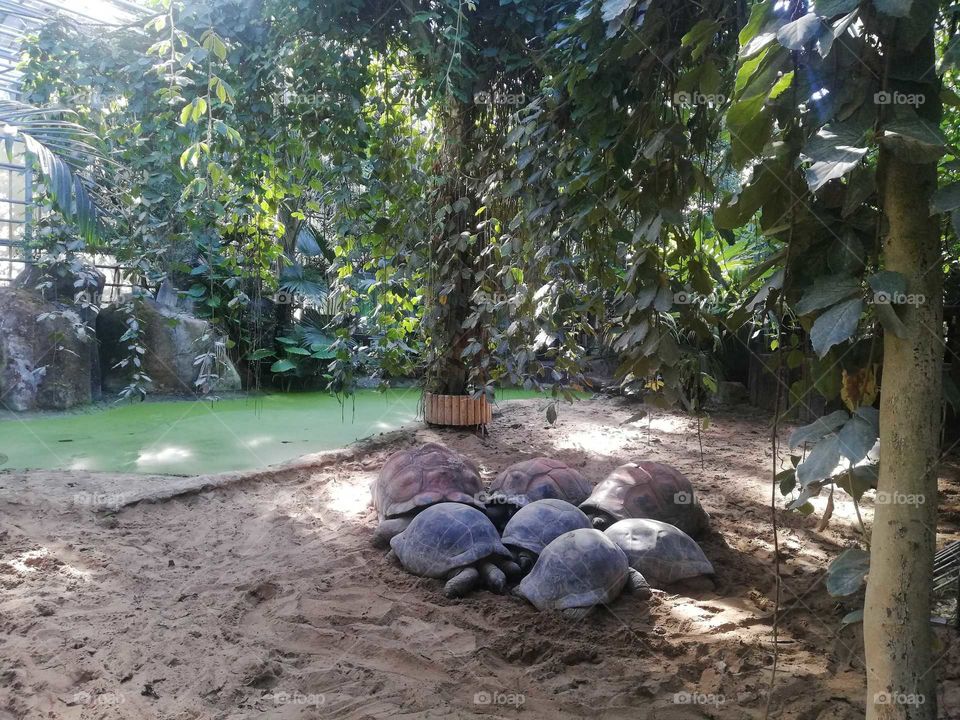 parco delle cornelle/italy