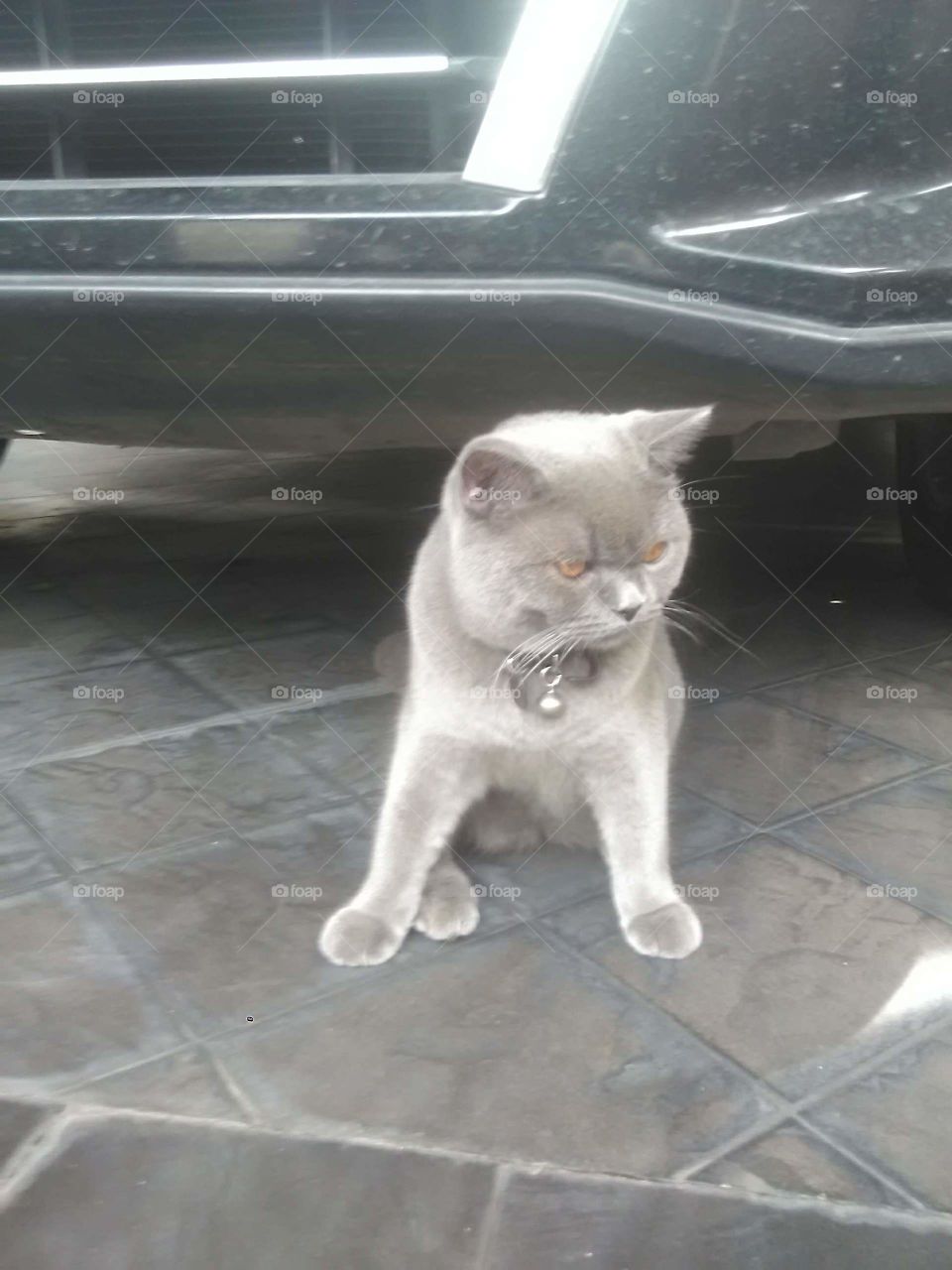 Colors of 2021 : Ultimate Grey and Illuminating