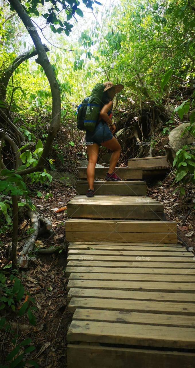 A woman walking on the middle of the forest 