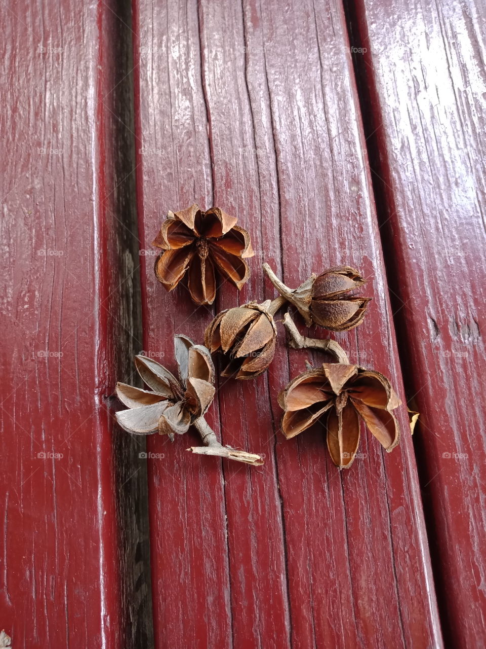 Wood, Wooden, Rustic, No Person, Old