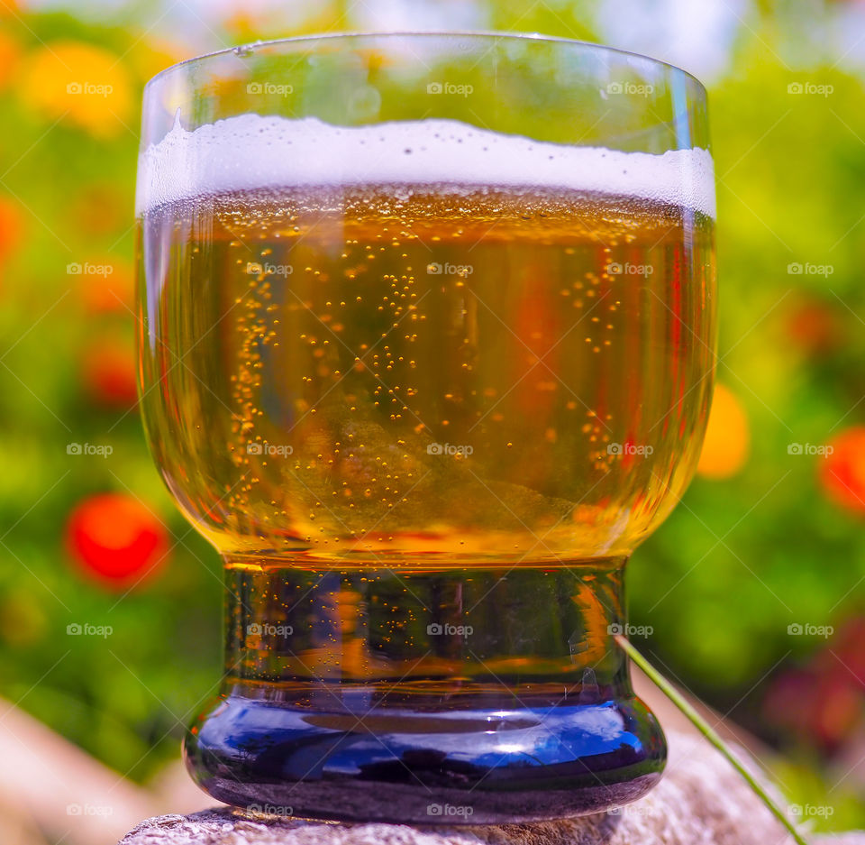 A glasses of a good light cold beer in nature in the sunny weather of summer.