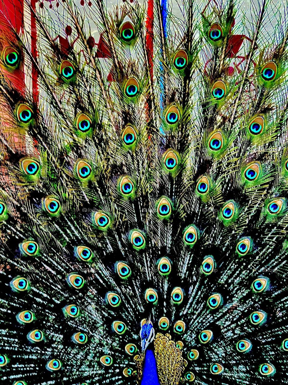 Upload photo of the month March