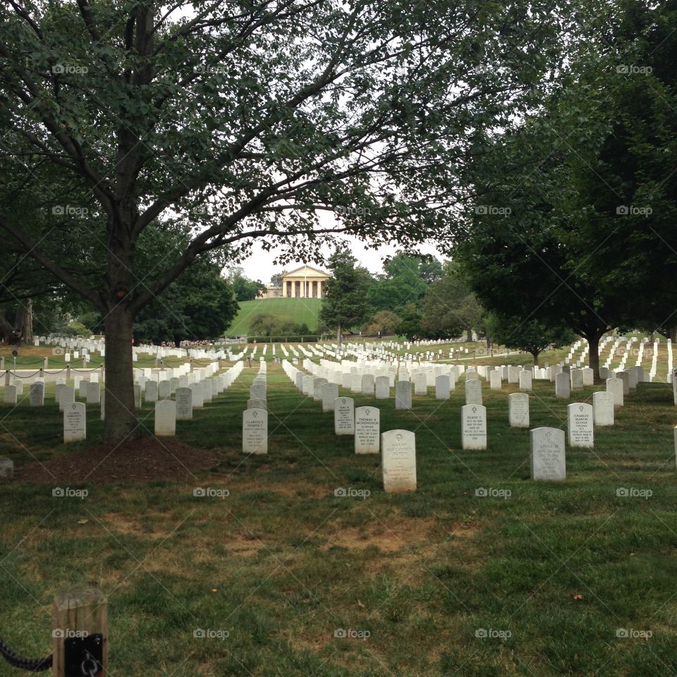 Graves in Arlington Cemetery, Washington DC