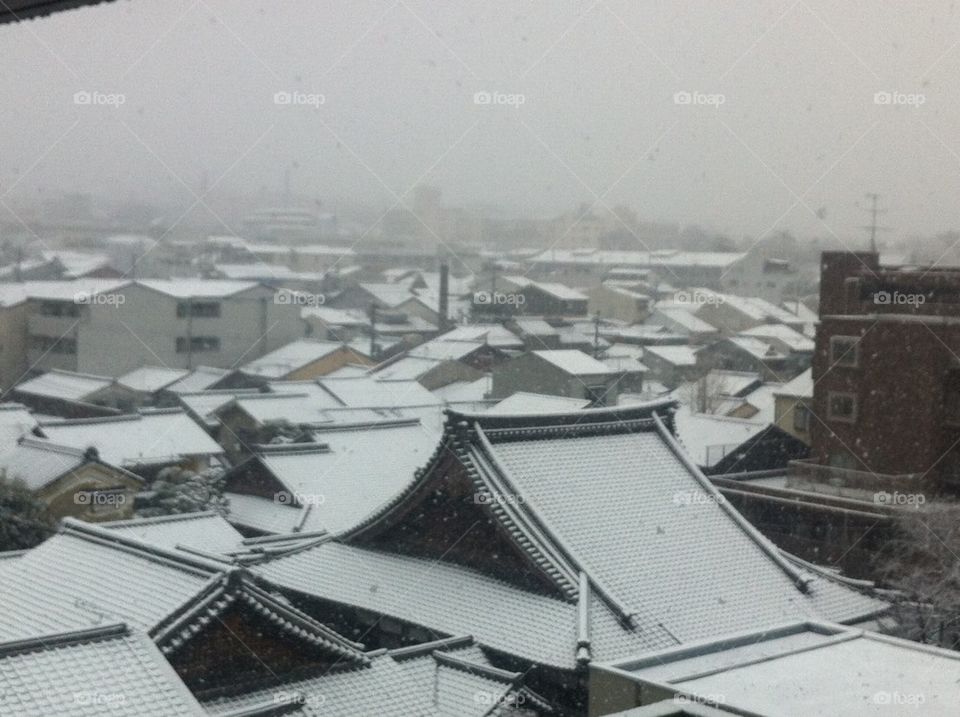 Snowy rooftops