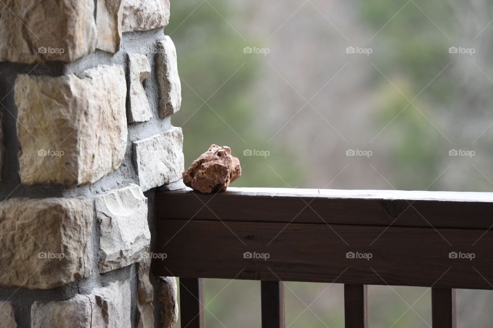 Darryl. Just hanging out at condo