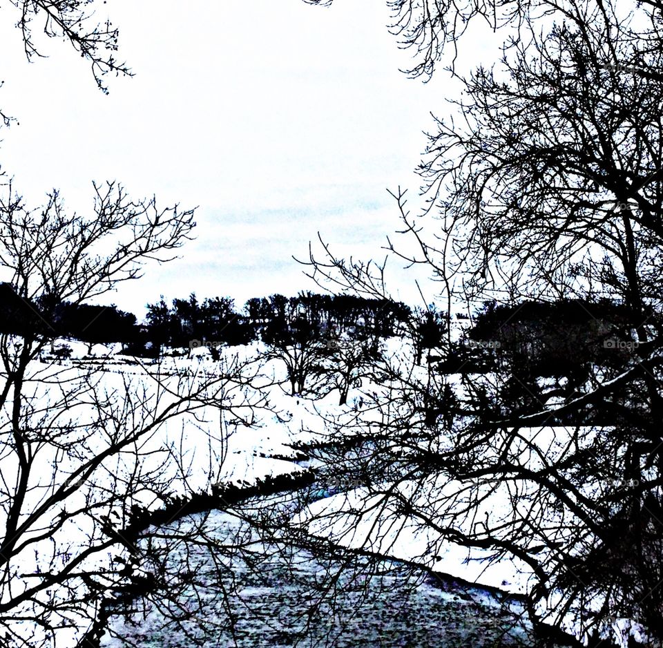 Snowy river 