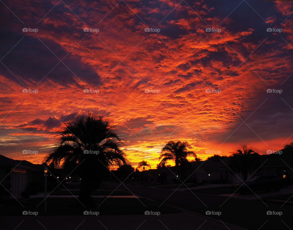 Vibrant sunrise with palm tree silhouettes