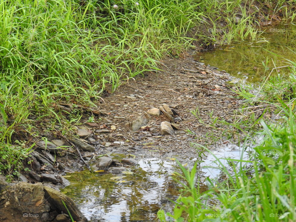 Nature, Grass, Water, Outdoors, River