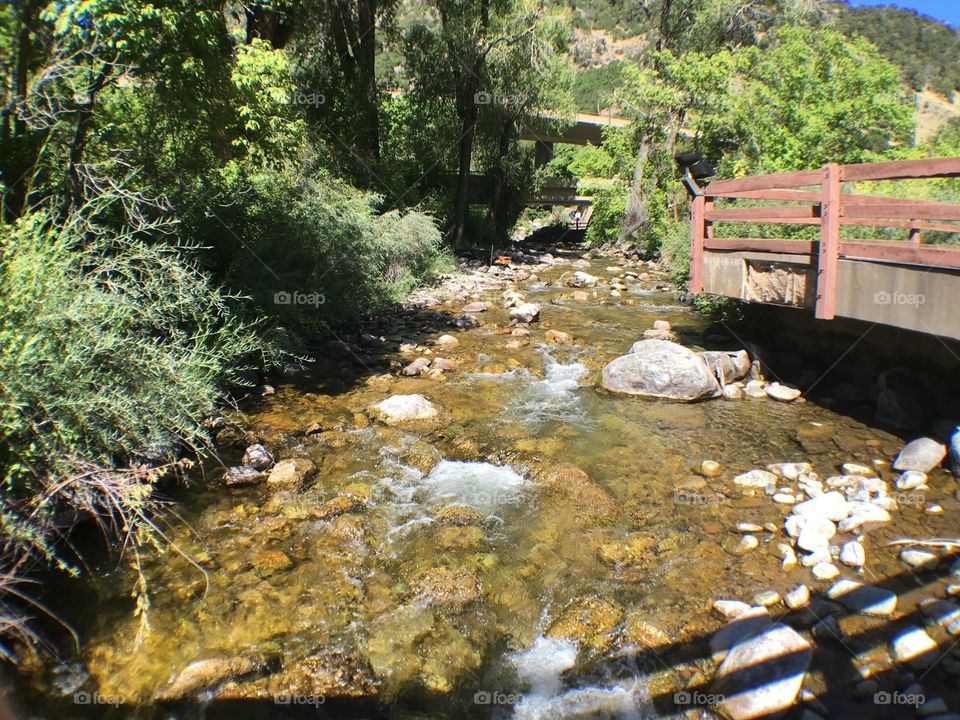 The River Runs Through It