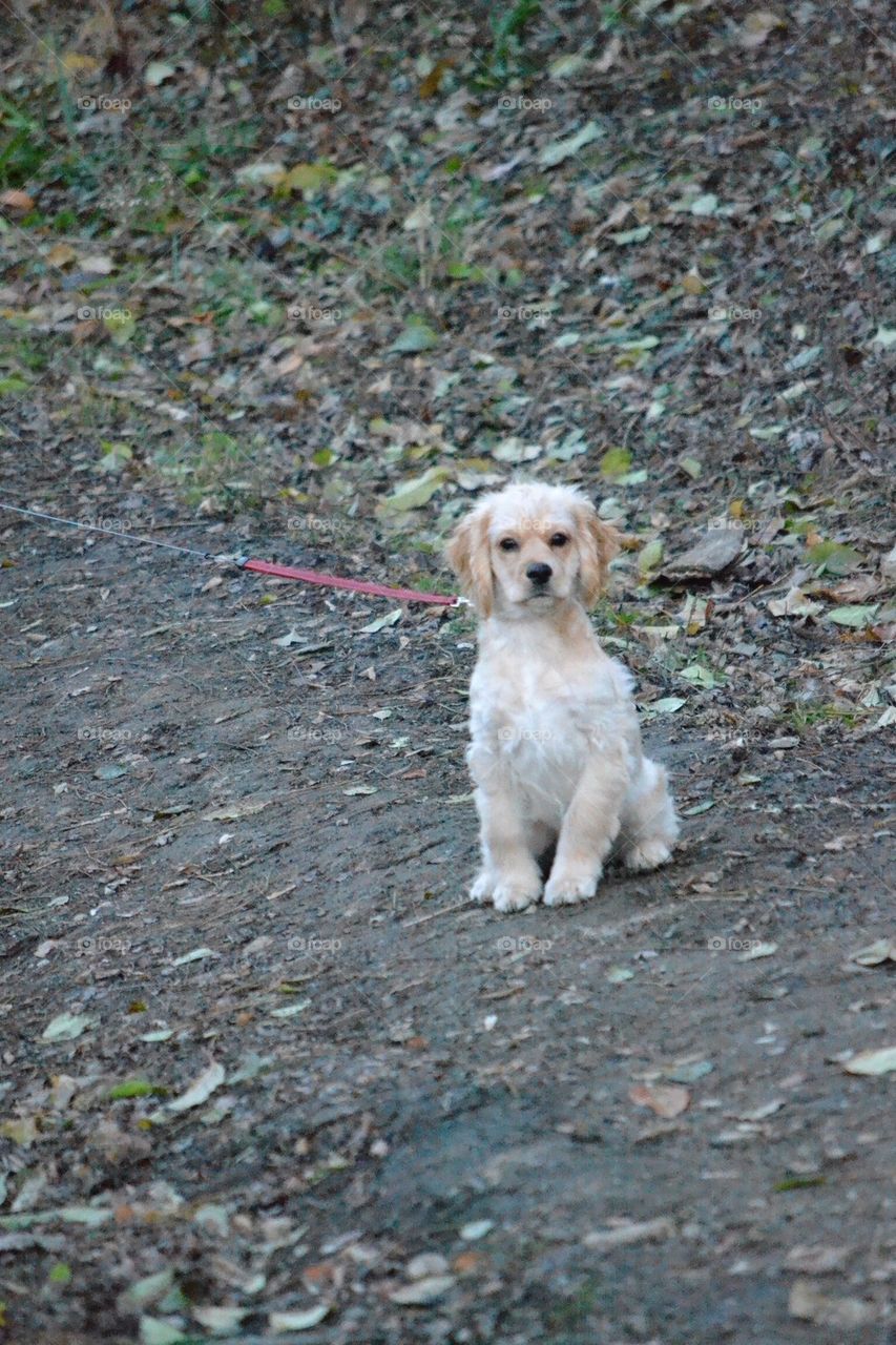 Sitting at Attention