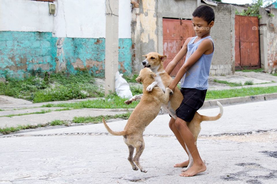 A Little Boy Playing With His Dogs In Cuba