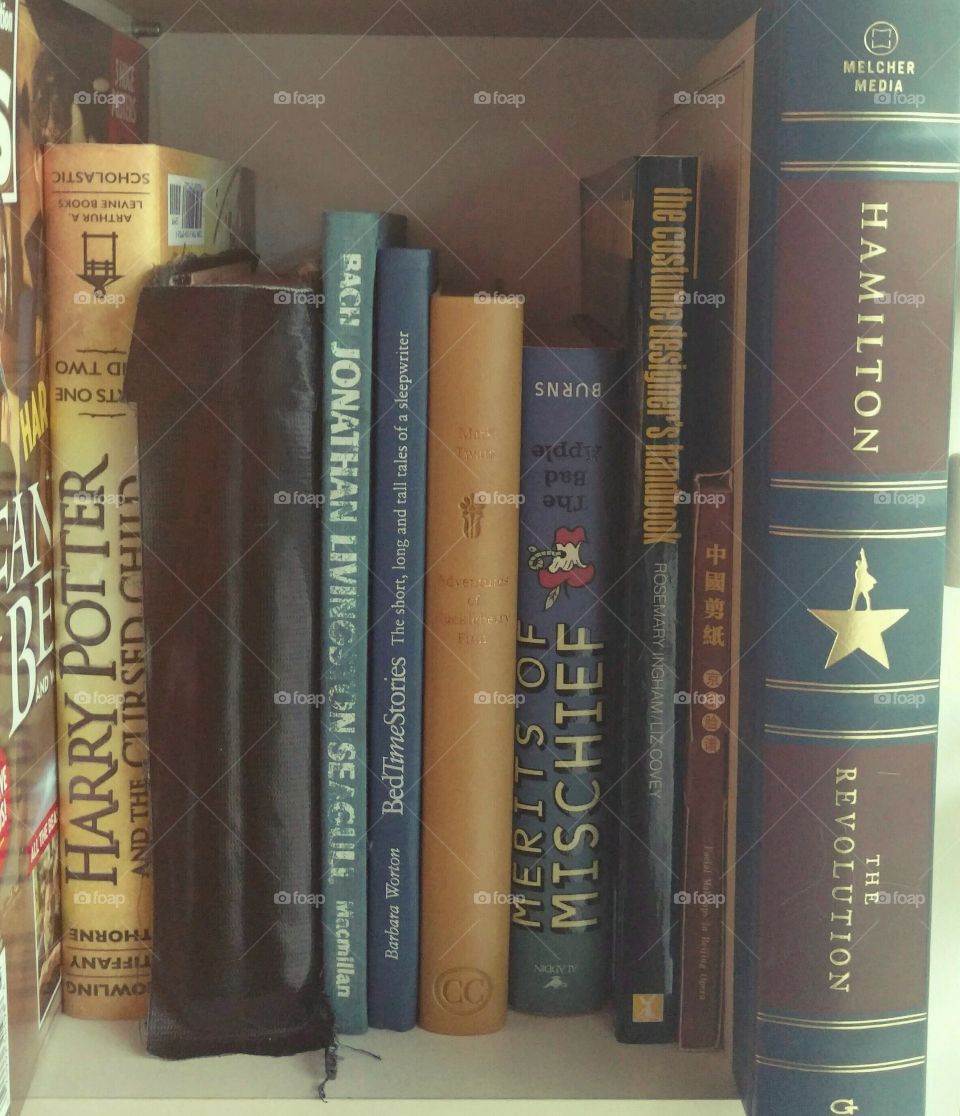 Books on the bookshelf reading