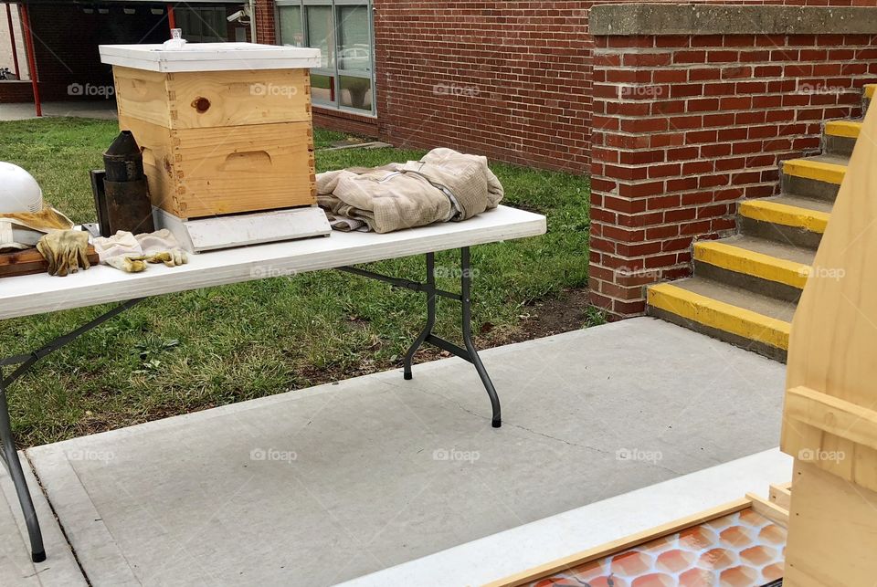 Teaching Beekeeping and Bees