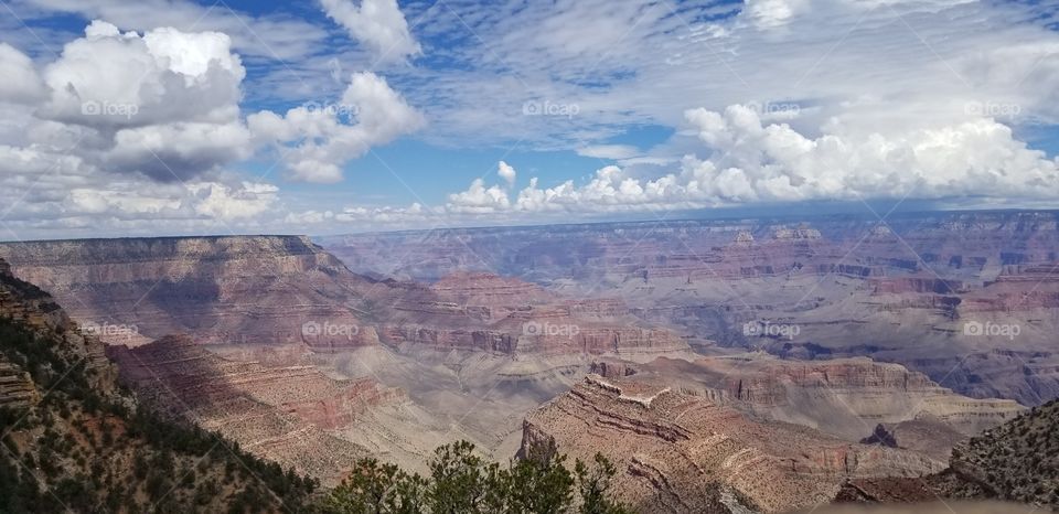 Grand Canyon 🌻
