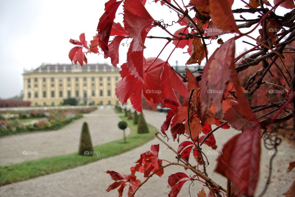 Autumn in Vienna