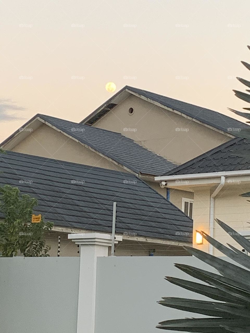 Peeking over roof top