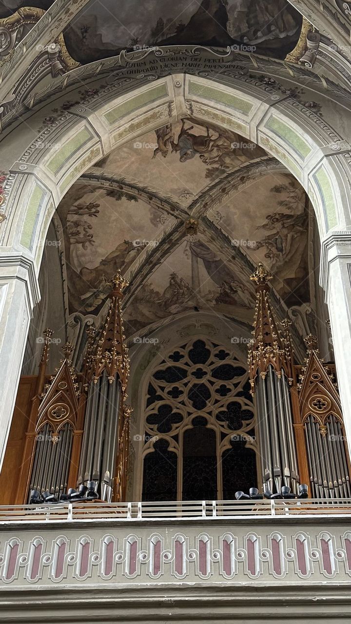 Organ