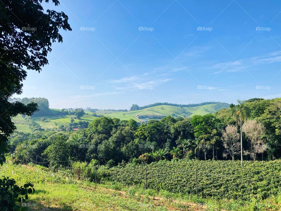 No intervalo da minha aula da manhã, olhe só que paisagem bacana pude contemplar em #Jarinu:
Viva tanto #verde que a natureza nos presenteia...
