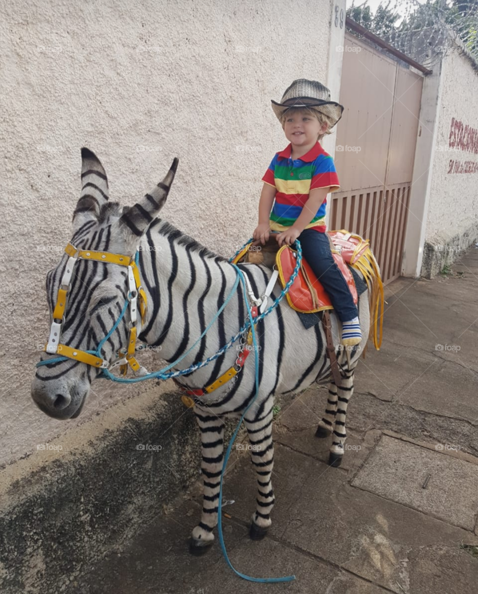 cute kid riding the zebra