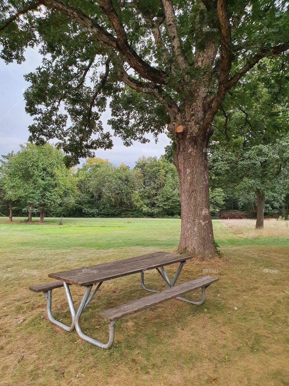 bench in the park