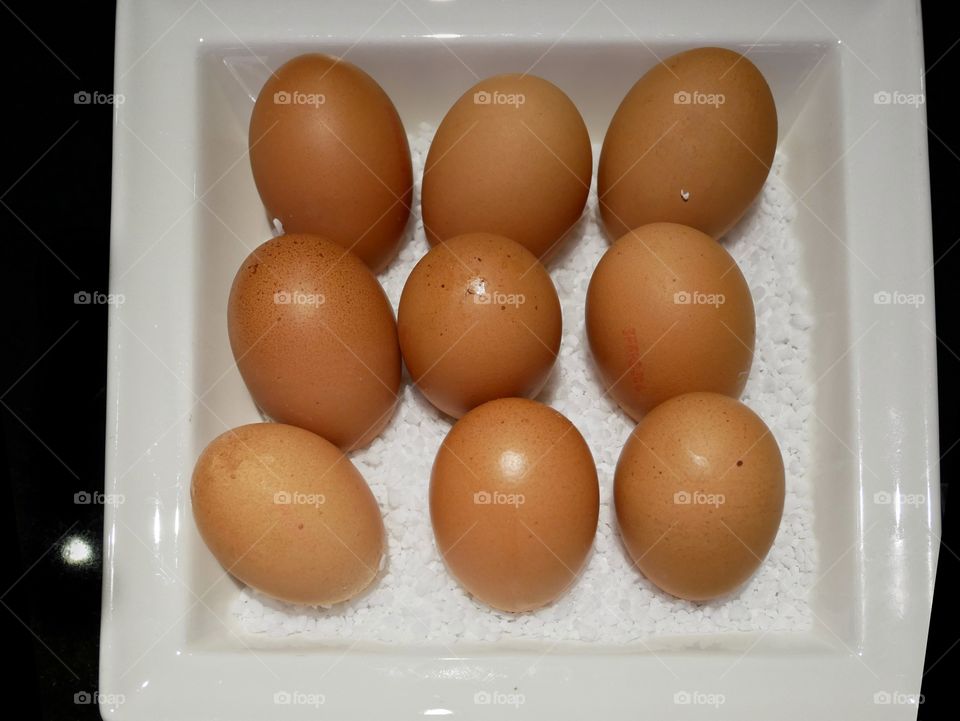 egg symmetry