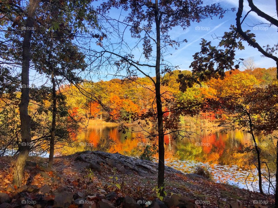 Reflection of autumn trees in lake