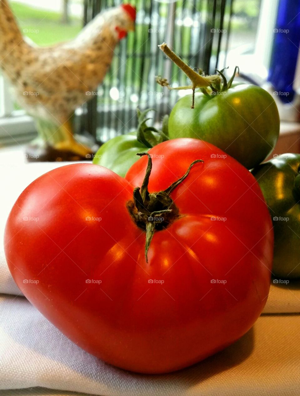 Home grown tomatoes